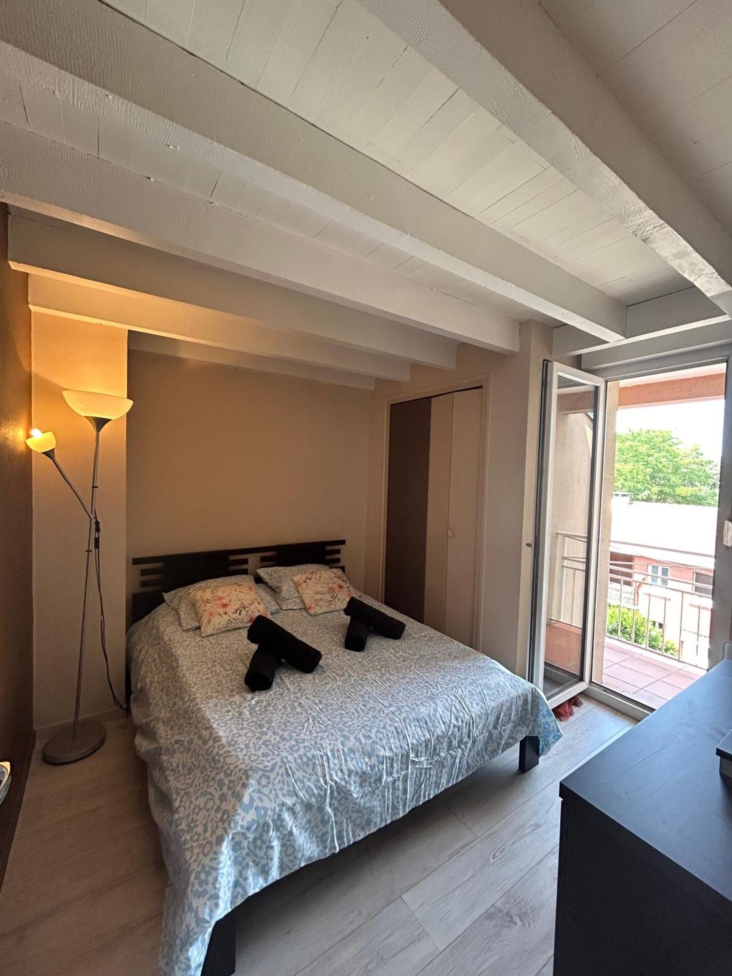 Apartmán Le Venasque Avec Terrasse - Climatisation Toulouse Exteriér fotografie