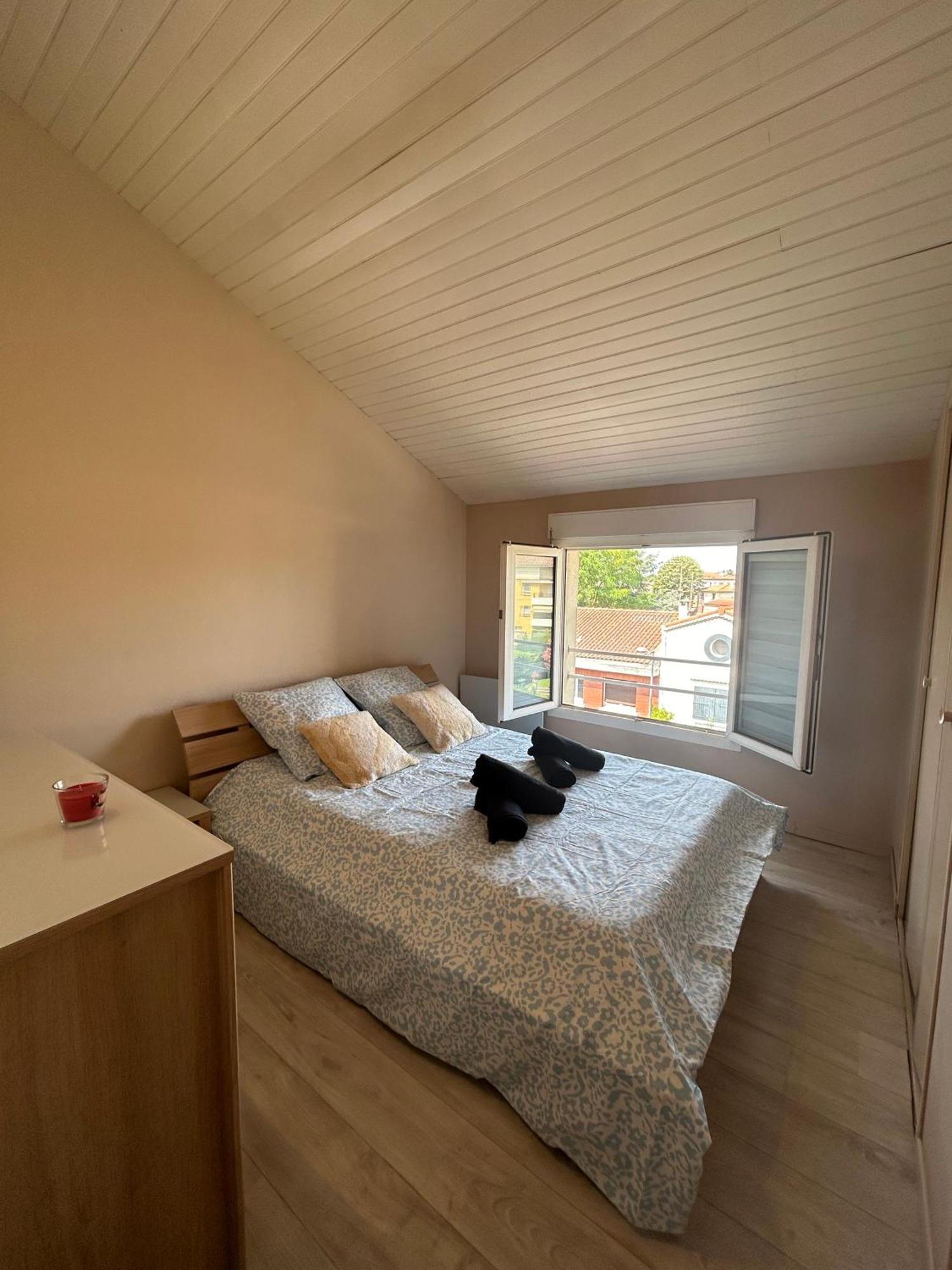 Apartmán Le Venasque Avec Terrasse - Climatisation Toulouse Exteriér fotografie